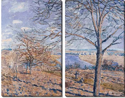 Картина Берега Луана — Осенний эффект, 1881 г.