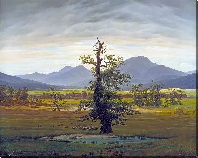 Одинокое дерево