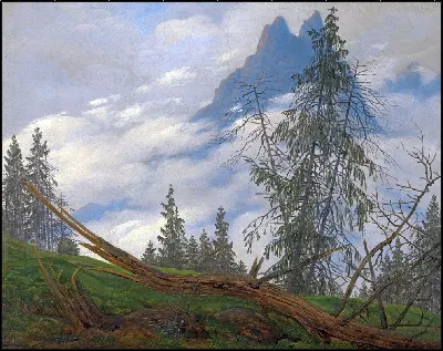 картина