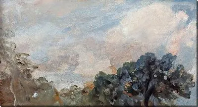 Картина Исследование облаков с деревьями