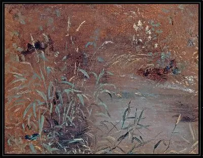 Камыши у бассейна