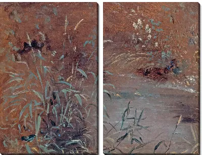 Камыши у бассейна