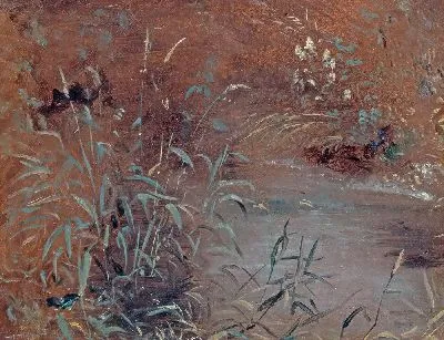 Камыши у бассейна