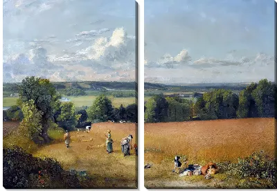 Пшеничное поле