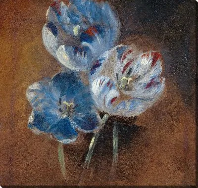 Картина Этюд из трех попугайных тюльпанов