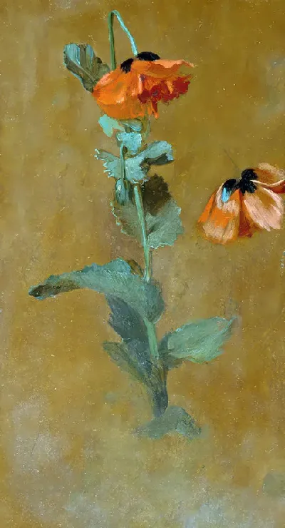 шаблон id 34