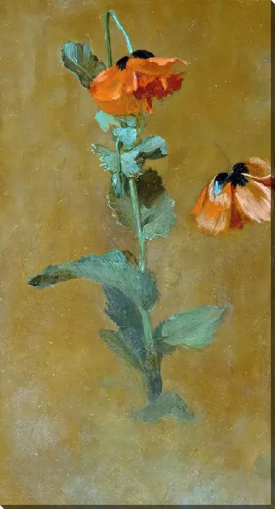 Картина Изучение маков