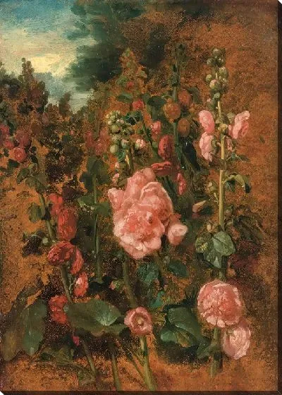 Картина Изучение шток-роз