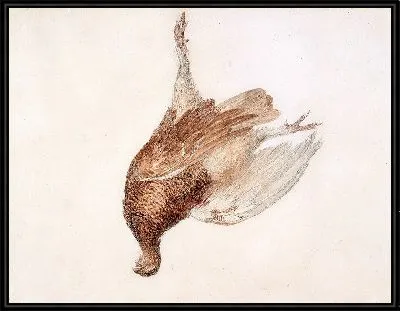 Мертвый тетерев