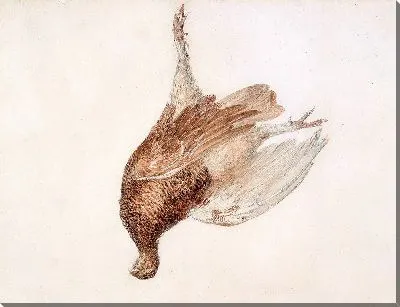 Мертвый тетерев