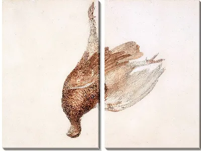 Мертвый тетерев