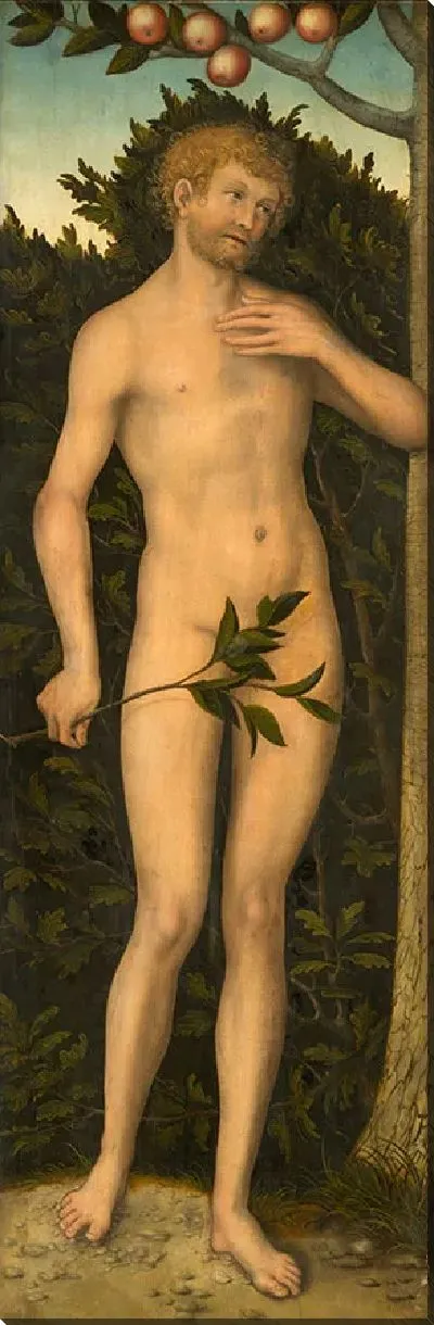 Картина Adam