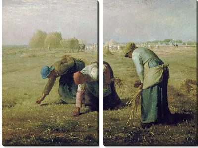 Сборщики колосьев