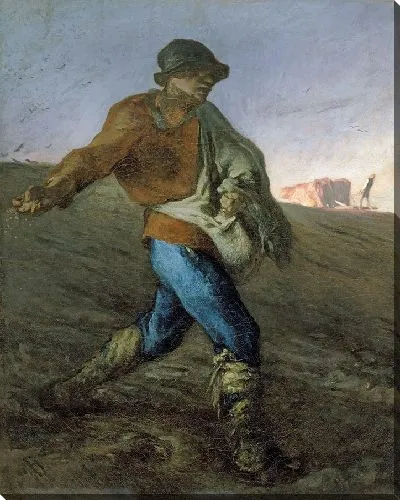 Картина Сеятель