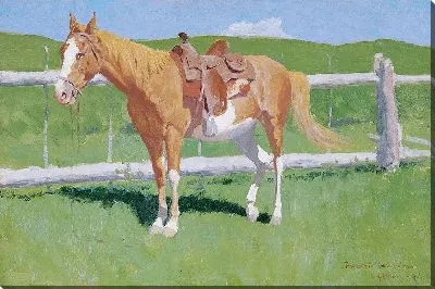 Картина Исследование гнедой лошади