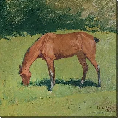 Картина Исследование