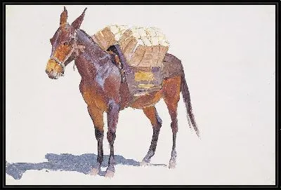 Безымянный этюд вьючных мулов