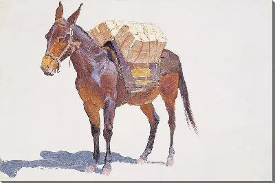 Безымянный этюд вьючных мулов