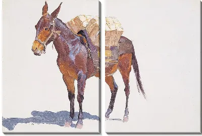 Безымянный этюд вьючных мулов