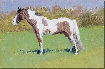 Картина Безымянный конный этюд 7