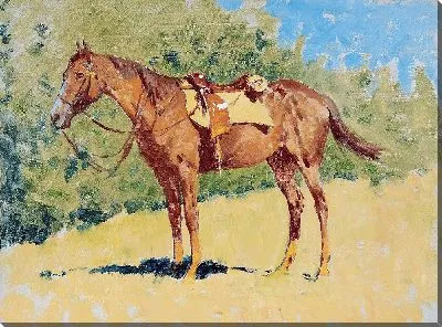 Картина Безымянный конный этюд 2