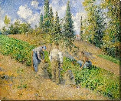Картина Жатва, Понтуаз (La Récolte, Pontoise) (1881)