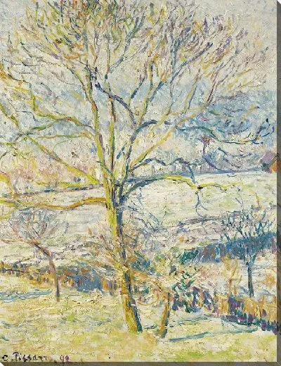 Картина Большой грецкий орех, белое желе Эраньи (1892)