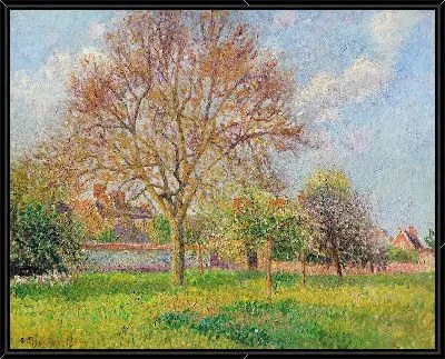 Картина Большой грецкий орех в Эраньи, полдень (1900 г.)