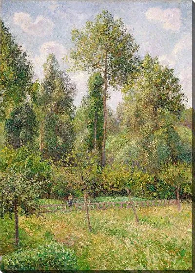 Картина Тополя, Эраньи (1895)