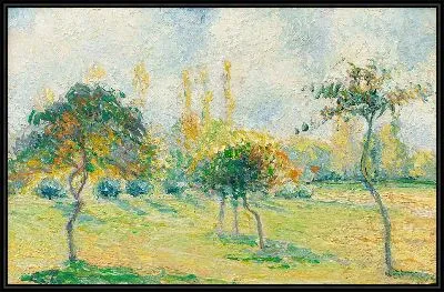 Яблони, осенний эффект