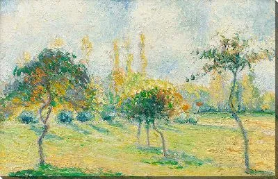 Яблони, осенний эффект