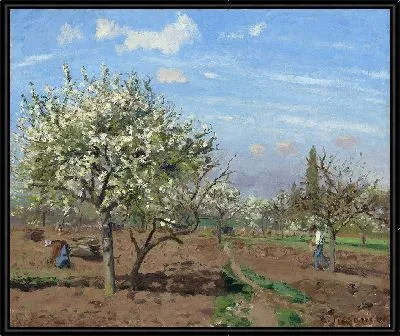 Цветущий фруктовый сад, Лувесьен (1872 г.)