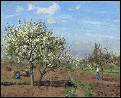 картина