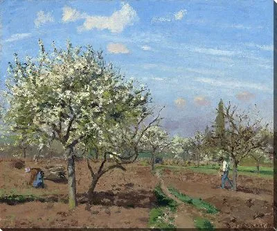 Цветущий фруктовый сад, Лувесьен (1872 г.)