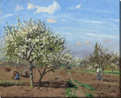 картина