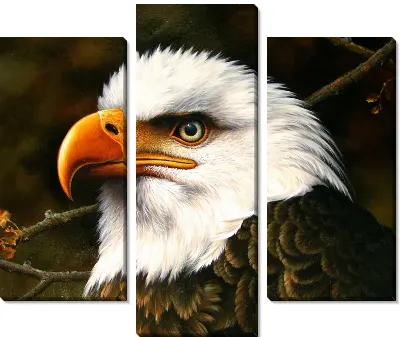 Модульная картина Орел (Eagle)