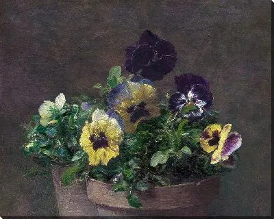 Анютины глазки в горшках