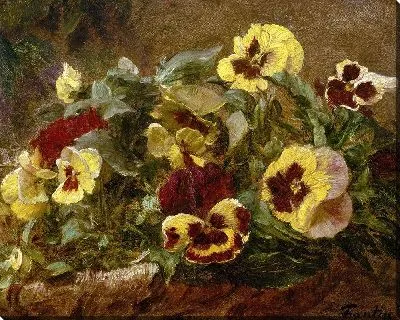 Картина Анютины глазки