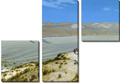 Тигр на страже