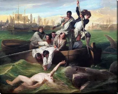 Ватсон и Акула