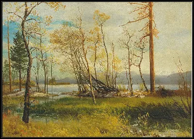 картина