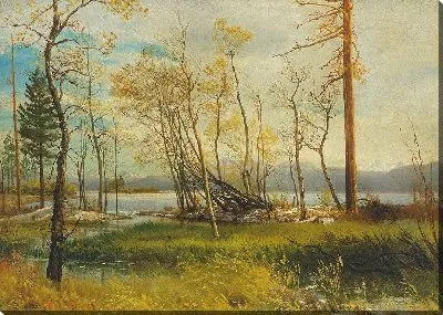 Картина Озеро Тахо