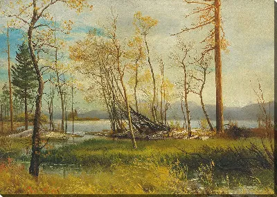 картина