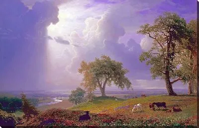 Калифорнийская весна