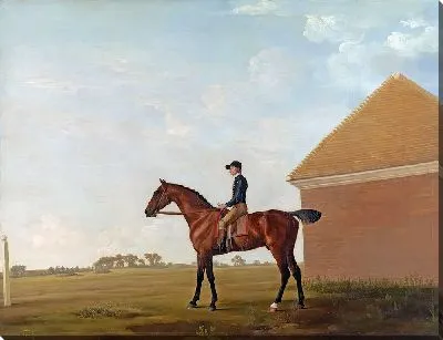 Картина Газон с жокеем наверху в Ньюмаркете