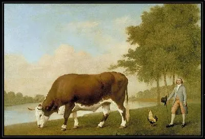 Линкольнширский бык