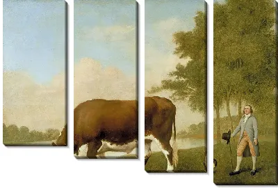 Линкольнширский бык