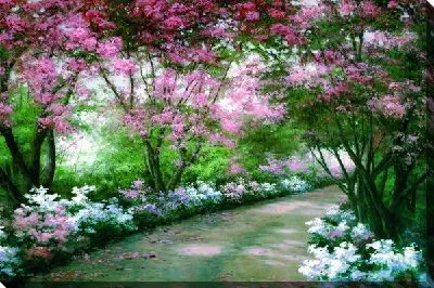 Картина маслом Тропинка в саду (The path in the garden)