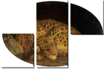 Картина Спящий леопард