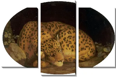 Картина Спящий леопард